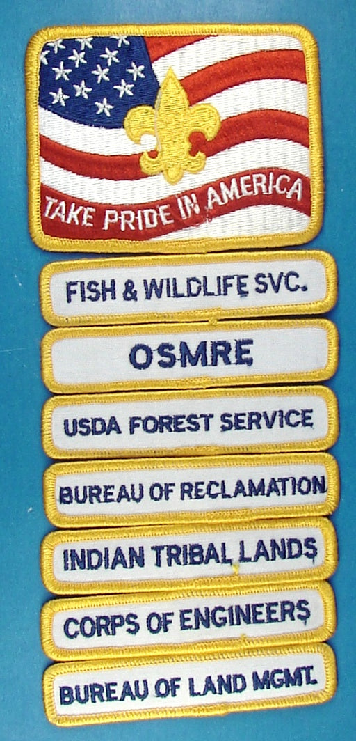 Take Pride in America Patch and Strips