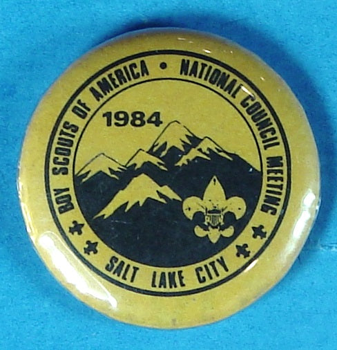 1984 National Meeting Pin