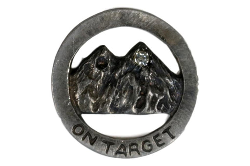 Varsity Scout On Target Pin