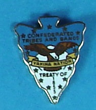 Treaty of Tribes and Bands 1855 Pin