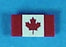 Canadian Flag Pin Minature