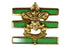 Junior Assistant Scoutmaster Lapel Pin