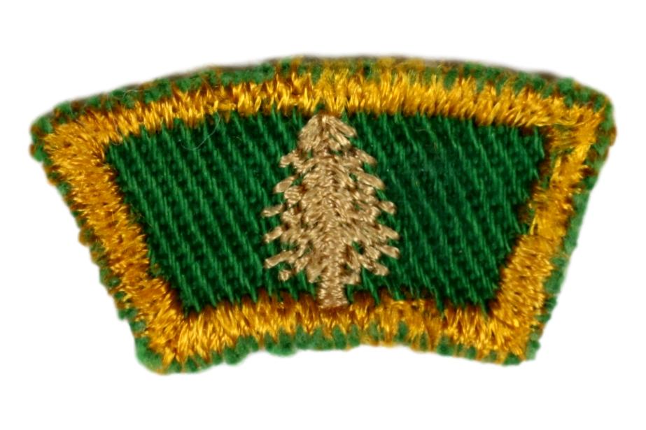 Senior Scout Title - Scout Forester