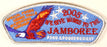 2005 NJ Food & Procurement Patch Silver Mylar Border
