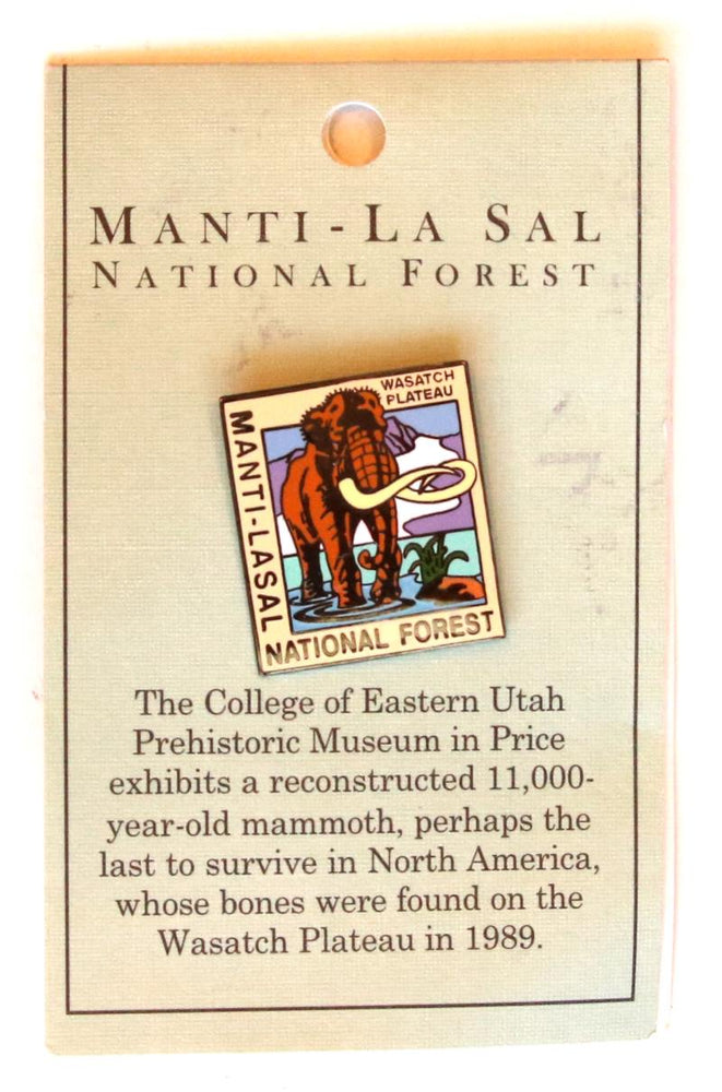 Manti-Lasal National Forest Pin
