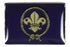International Scouting Flag Pin
