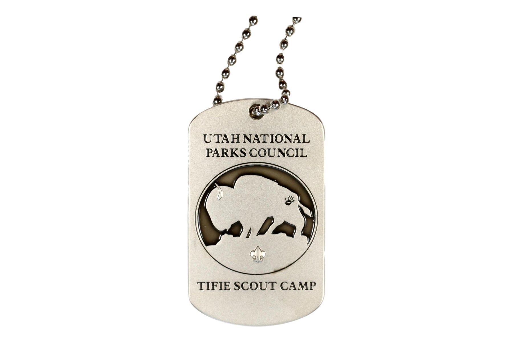 Tife Scout Camp 2010 Dog Tag