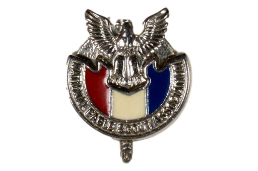 National Eagle Scout Association Pin