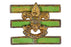 Junior Assistant Scoutmaster Collar Pin