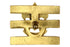 Junior Assistant Scoutmaster Collar Pin