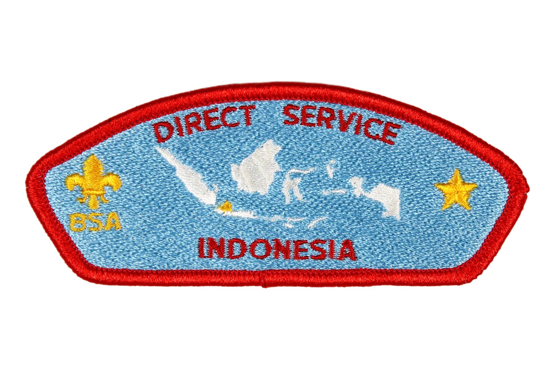 Direct Service CSP Indonesia S-1
