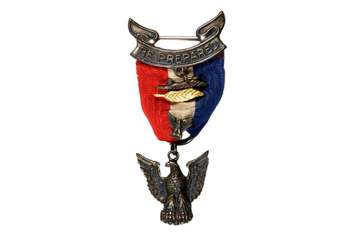 Eagle Rank Medal 1933 - 1954 Robbins 3 in Coffin Box with Bronze and Gold Palms and Lapel Pin