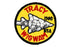 Tracy Camp Patch 1980