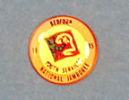 1985 NJ Bedford Youth Services Pin