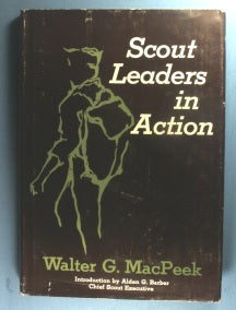 Scout Leaders in Action