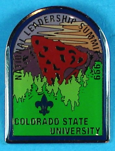 1999 National Leadership Summit Pin