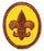 Boy Scout Rank Patch 1970s Plastic/Gauze Back
