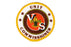 Varsity Scout Unit Commissioner Patch Silk Screened