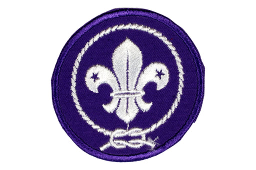Boy Scout World Crest Patch 2 3/4" (7cm)