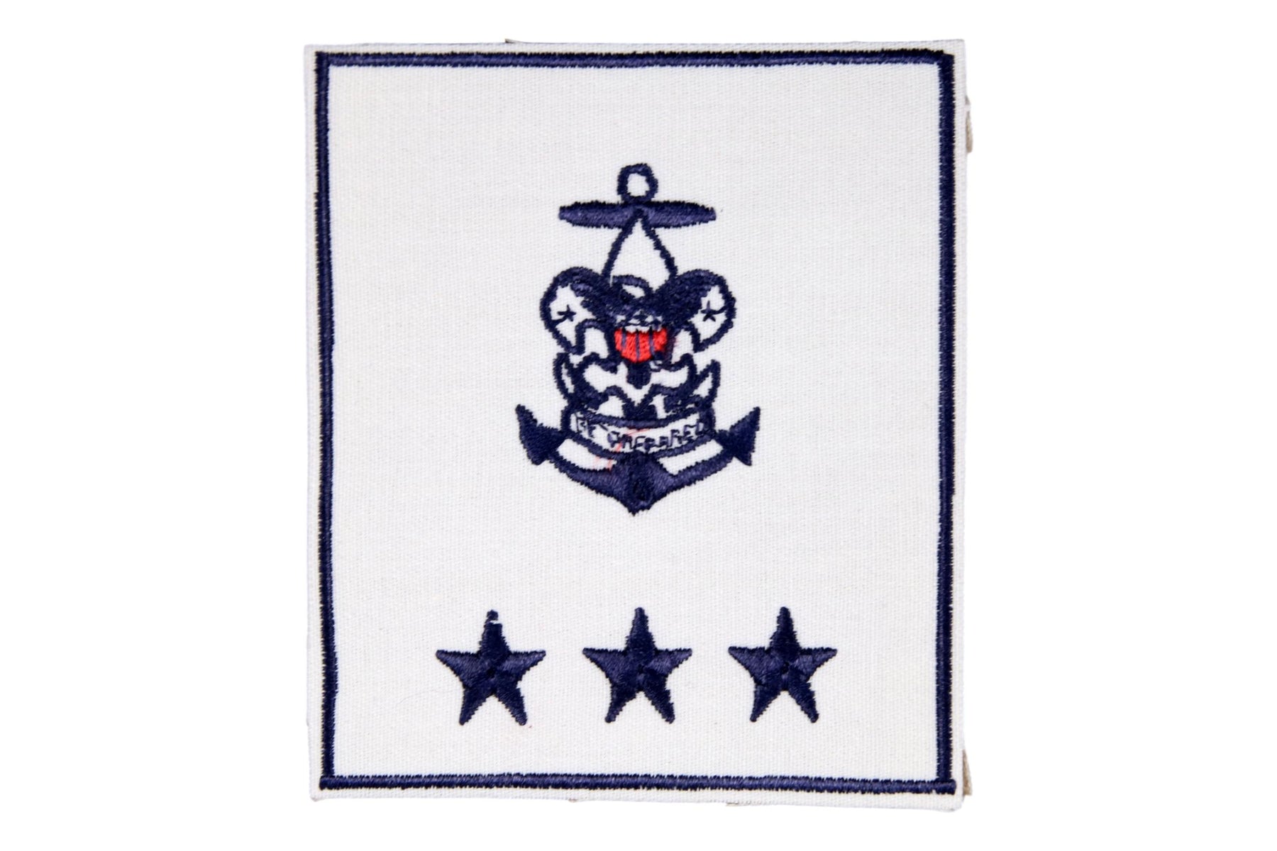 Sea Scout Regional Professional Staff on White Plastic Back