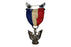 Eagle Rank Medal 1933 - 54 Robbins 3