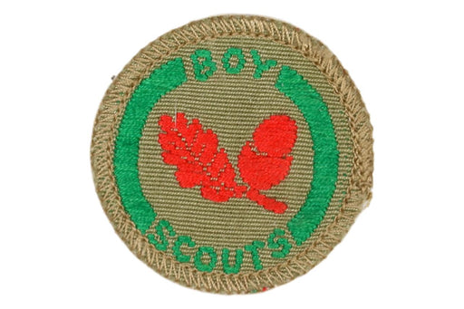 British Boy Scouts Merit Badge