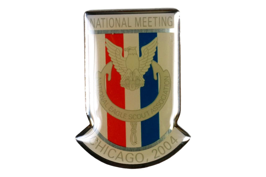 2004 National Meeting Pin