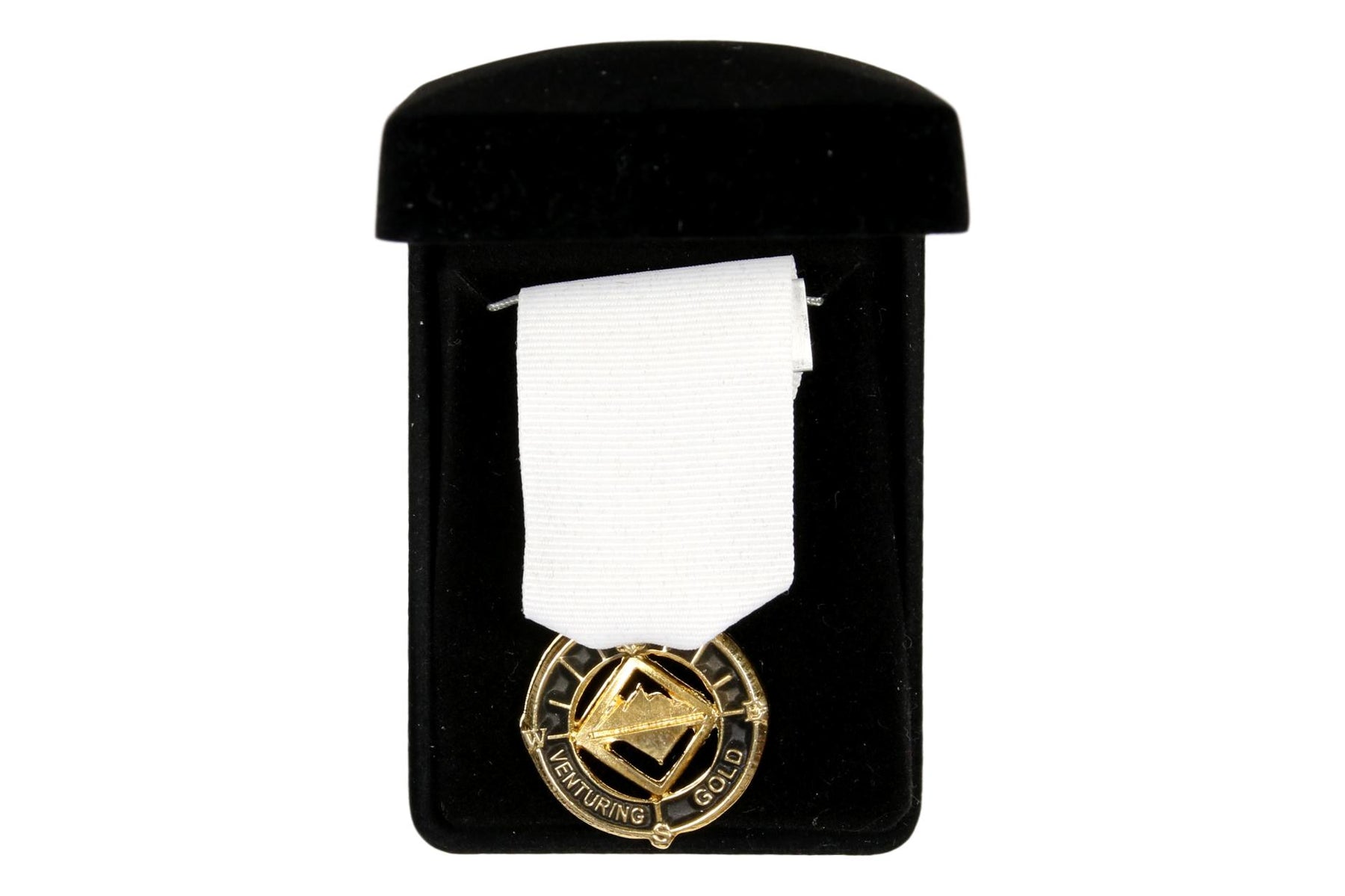 Venturing Gold Award Medal Black Highlights