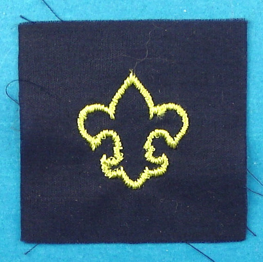 Lady Scouter Patch Blue Cloth