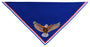 Custom Embroidered Neckerchief for Eagle Scouts - Appliqued Eagle