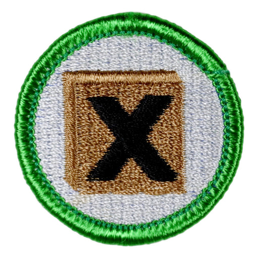 X Box Merit Badge