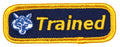 Trained Patch Cub Scout Leader