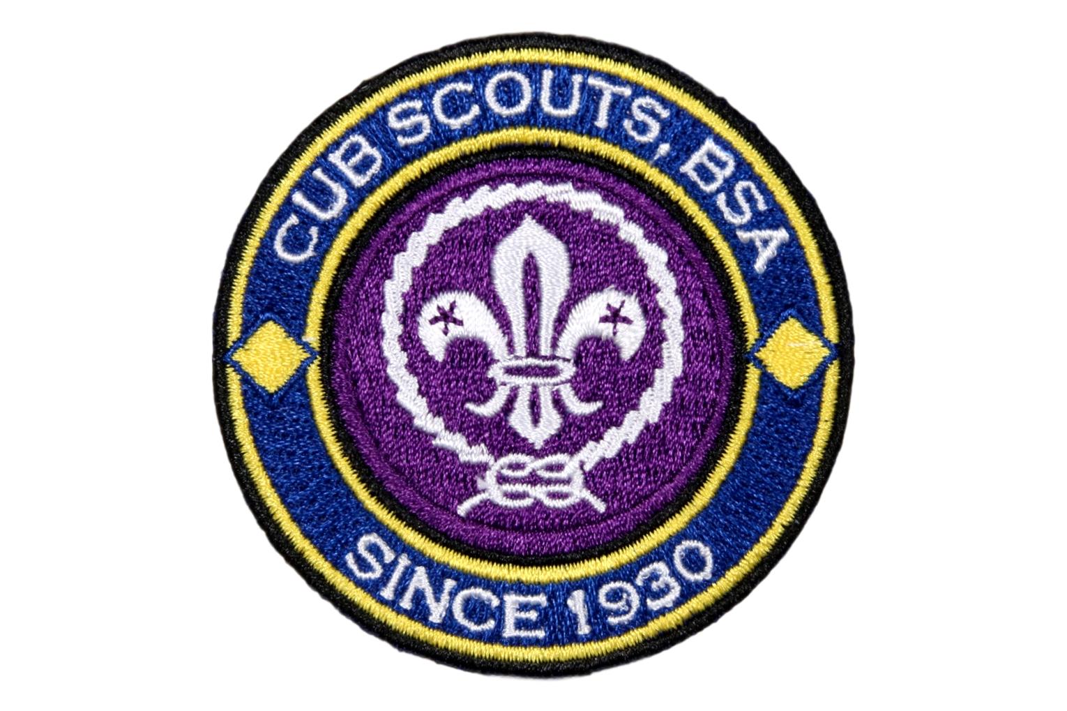 Cub 2025 scout ring