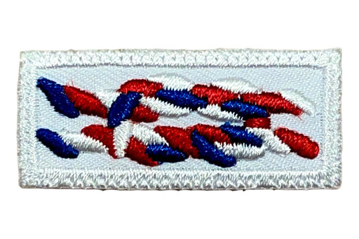 Eagle Scout Knot on White