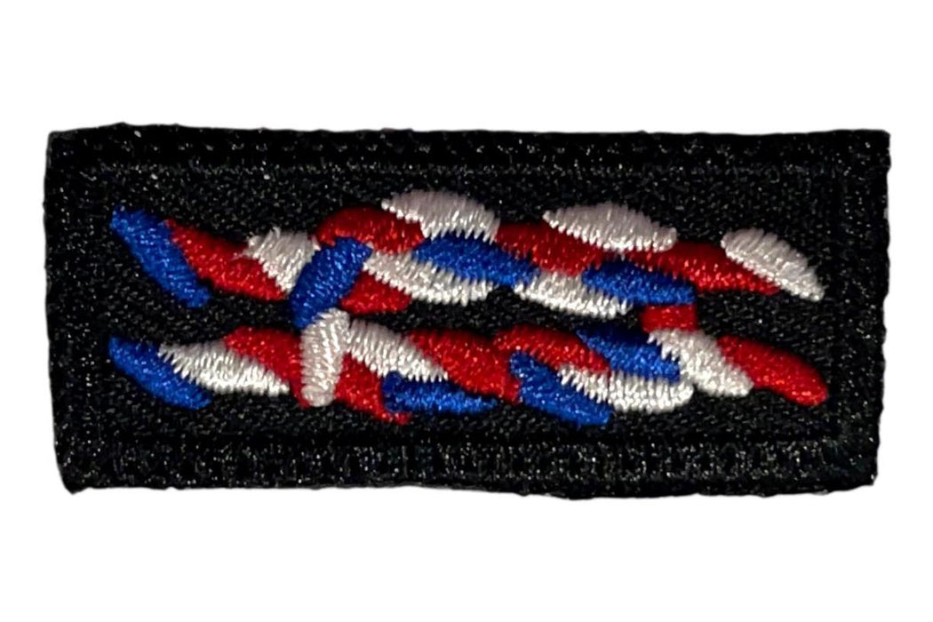 Eagle Scout Knot on Black