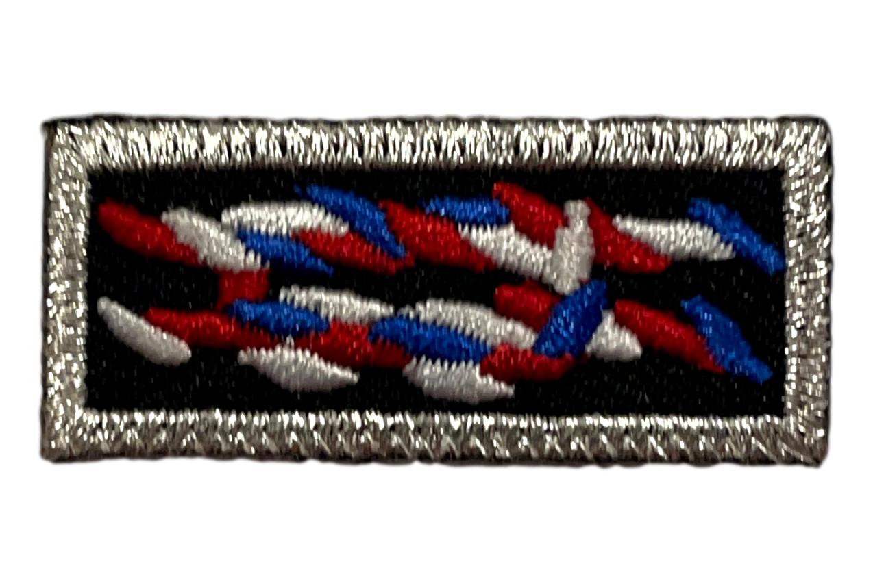 NESA Eagle Scout Knot on Black
