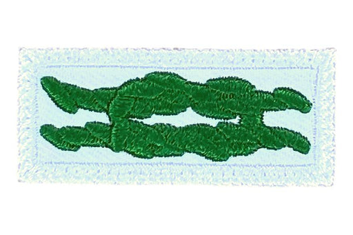 Scouter's Training Award Knot on White