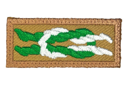 Scouter's Key Training Award Knot on Tan