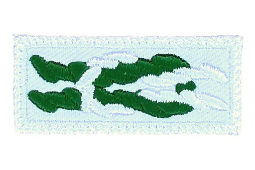 Scouter's Key Training Award Knot on White
