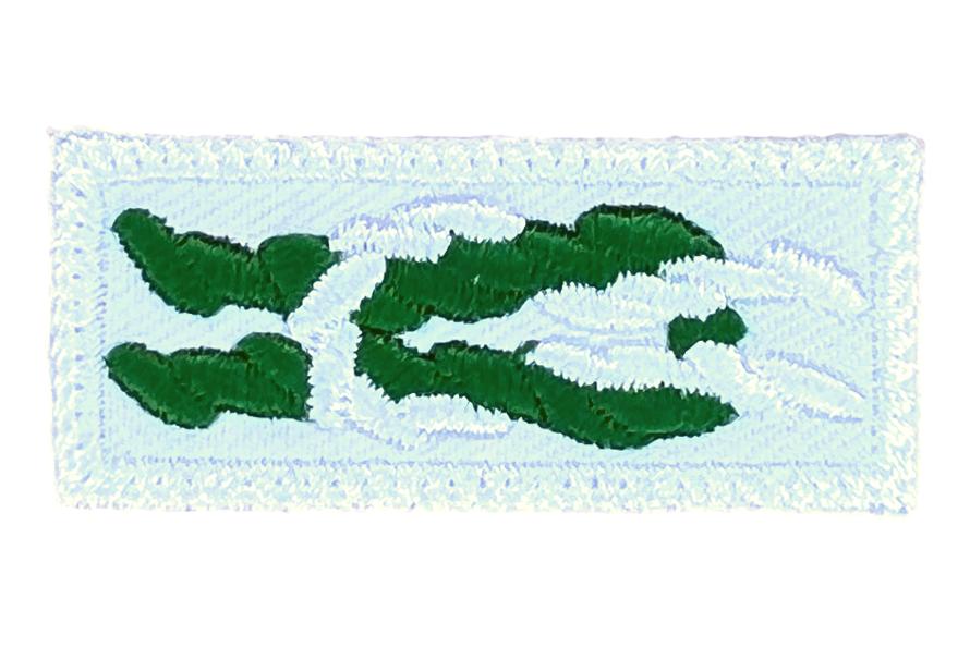Scouter's Key Training Award Knot on White