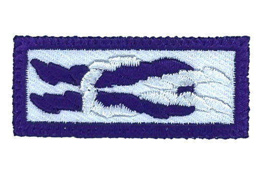 International Scouter Award Knot on White