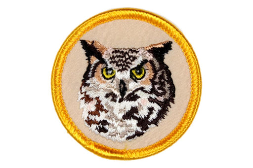 Owl PM Horned Owl