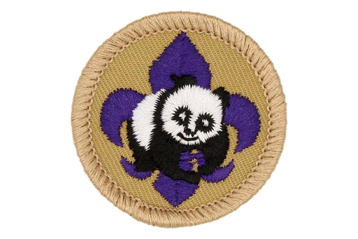 World Conservation Award Patch Boy Scout